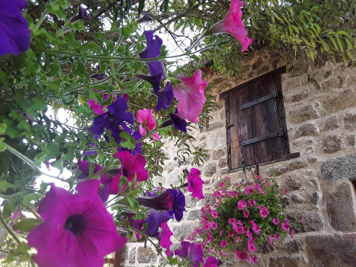 Bed and Breakfast La Belle Ame Saint-Priest-des-Champs Екстер'єр фото